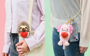 Posture Pal - Pocket Charm