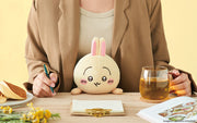Posture Pal - CHiiKAWA - Dream Display