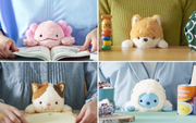 Posture Pal - Cute Ready