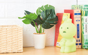 SMISKI Touch Light - Studio Glow