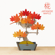 Play Plants Bonsai Puzzles - Gift Ready
