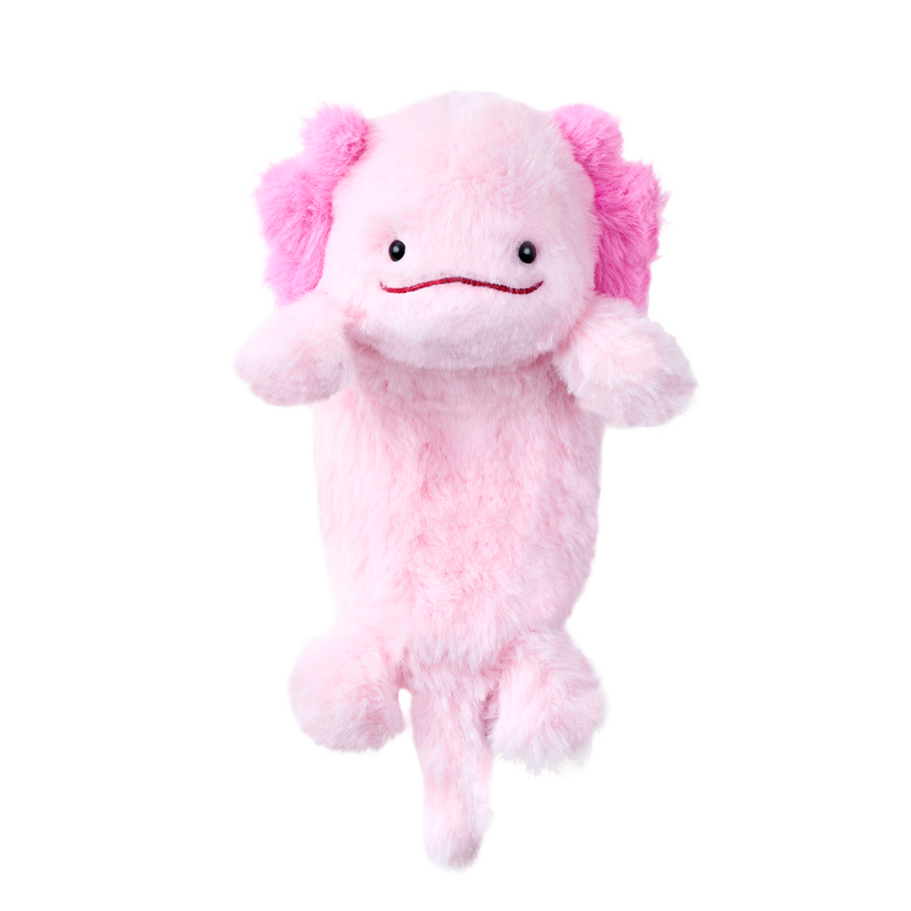 Posture Pal - Cute Accent