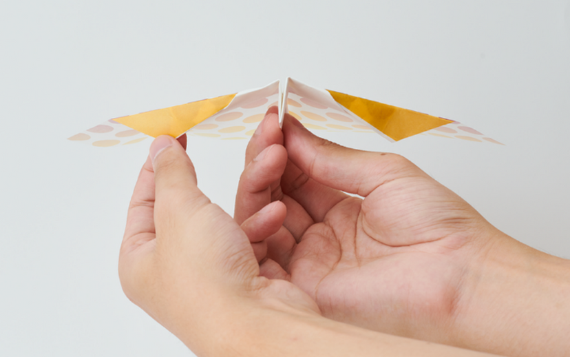 Papillon Origami Airplanes - Modern Display