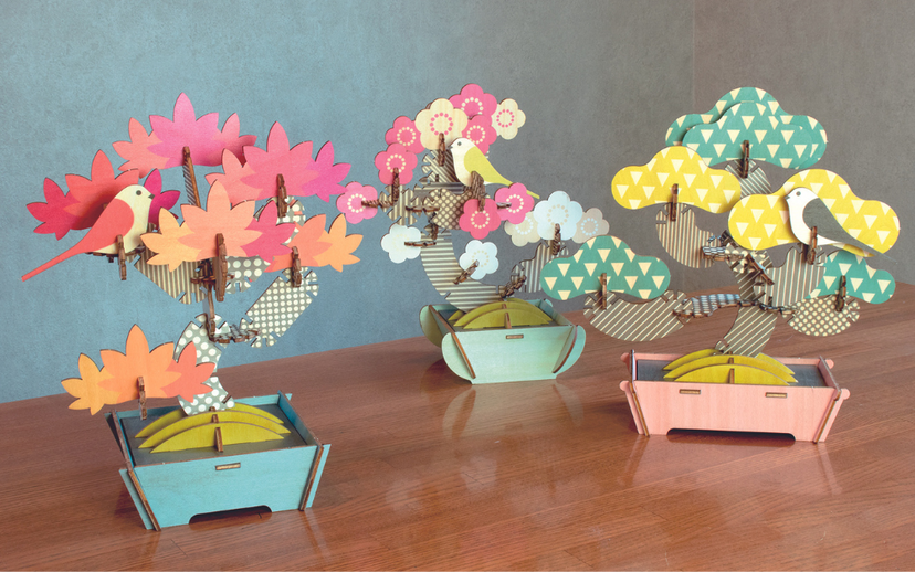 Play Plants Bonsai Puzzles - Gift Ready