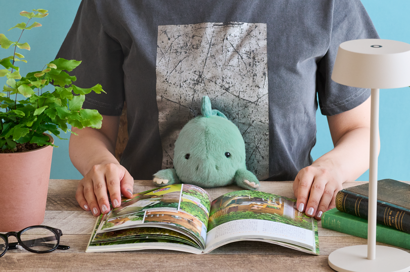 Posture Pal - Dinosaur - Mini Choice