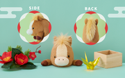 Posture Pal - Gift Pick