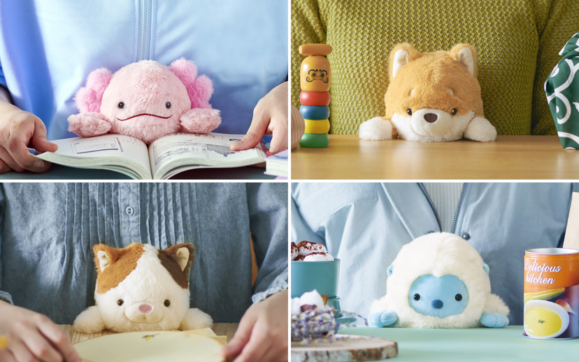 Posture Pal - Shelf Display