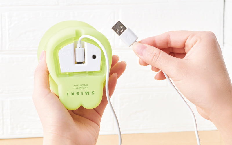SMISKI Touch Light - Studio Glow