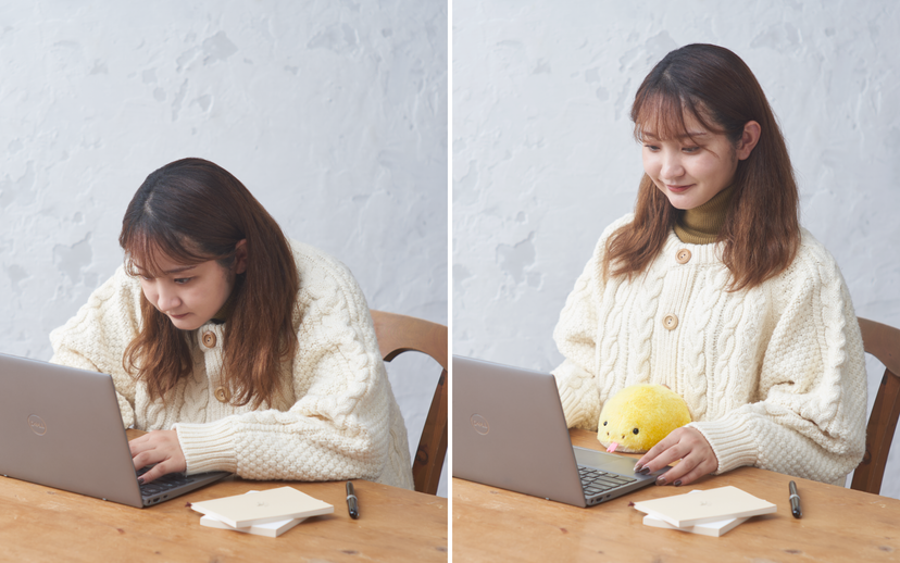 Posture Pal - Mini Choice