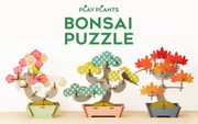 Play Plants Bonsai Puzzles - Little Accent