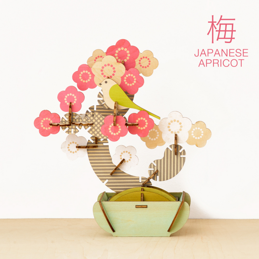 Play Plants Bonsai Puzzles - Little Accent