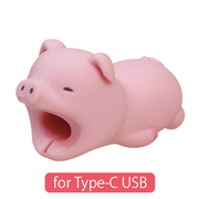 CABLE BITE for Type-C USB - Gift Ready
